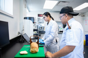 Students working in a culinary lab