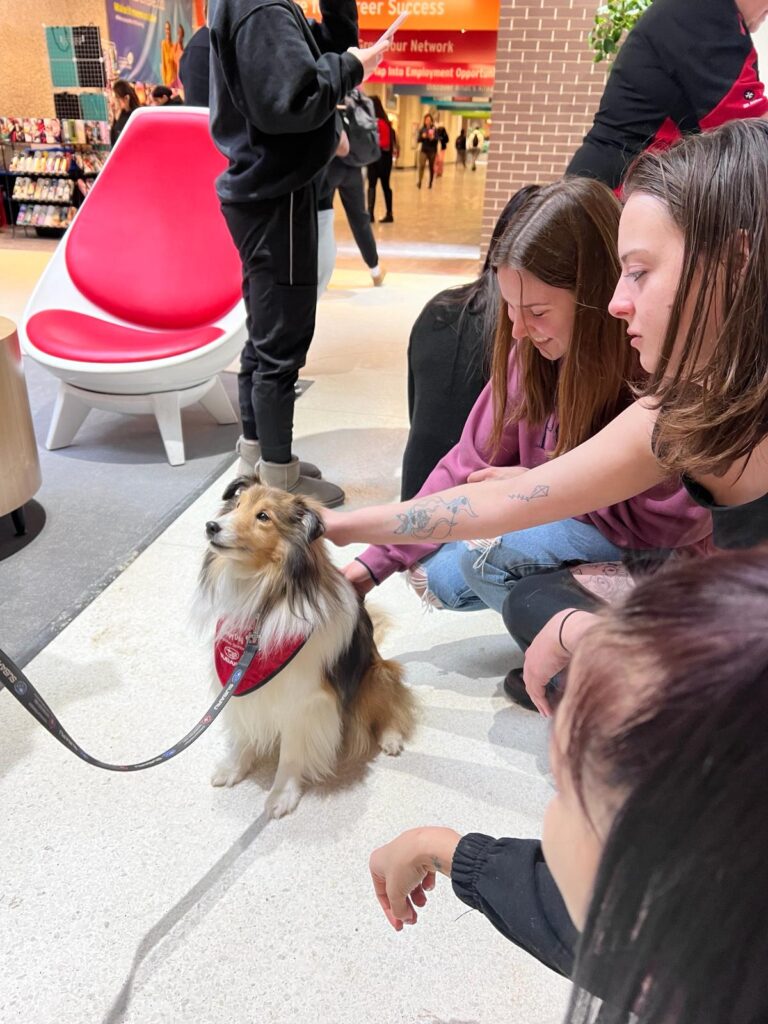 Students petting a therapy dog.
