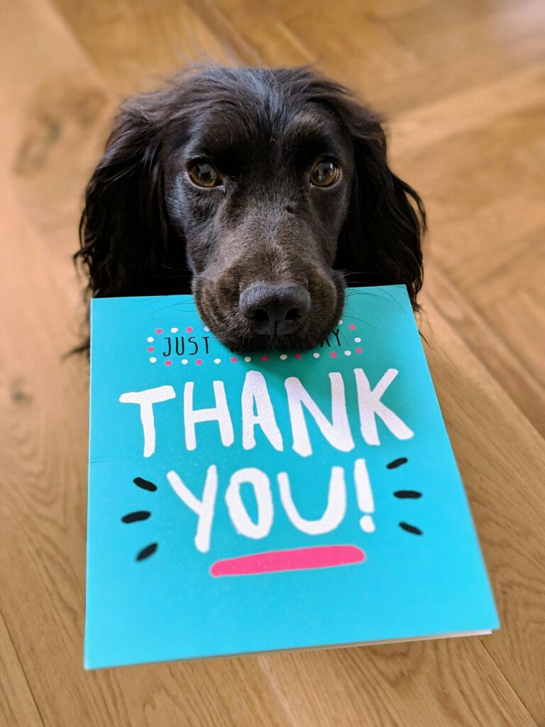 Black dog holding a thank you card in it's mouth.