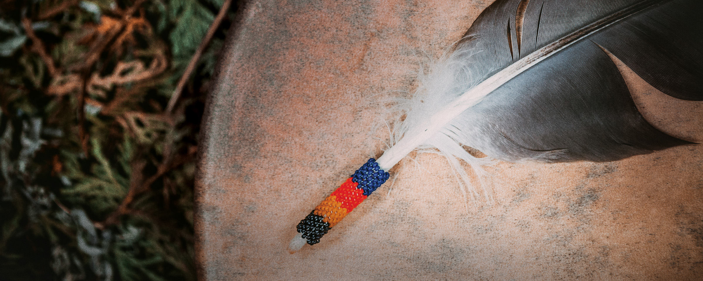 Close-up of feather adorned with beadwork, sitting atop an Indigenous drum