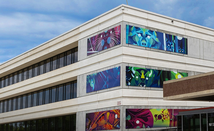 Exterior of the Notre Dame Campus